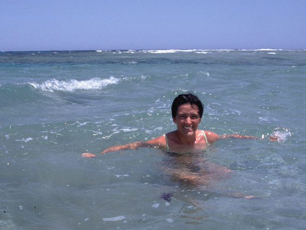 Delphine sur la plage d'Abou d'Abab